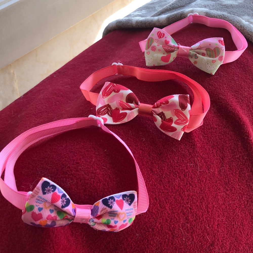 dog or cat live theme bow tie set